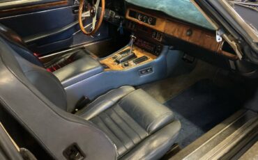 Jaguar-poop-1989-blue-4
