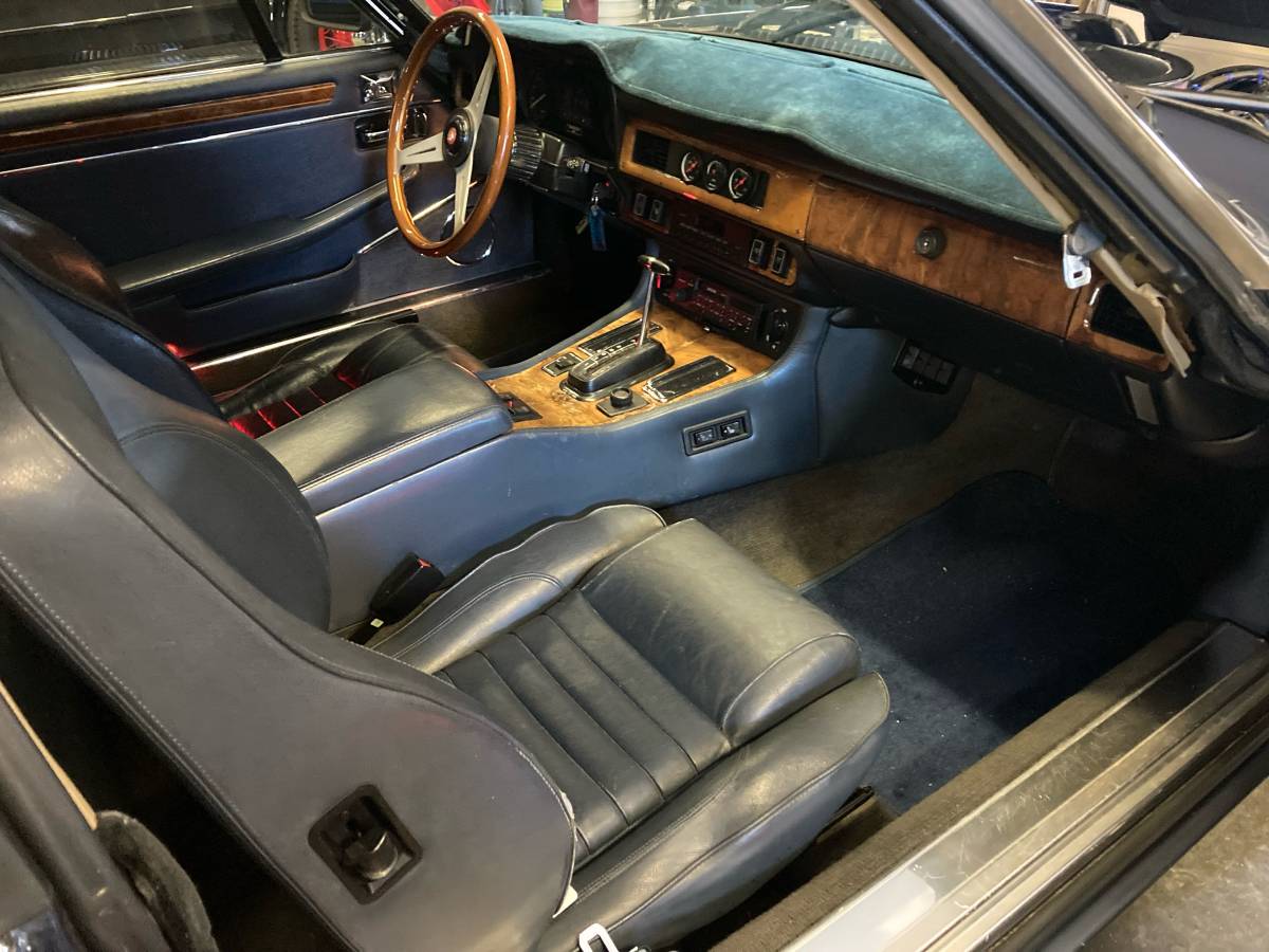 Jaguar-poop-1989-blue-4