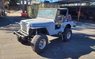 Jeep-1970-Gray-10
