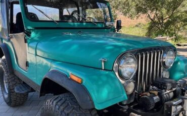 Jeep-1974-green-5