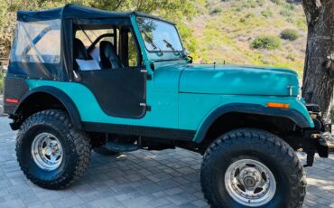 Jeep-1974-green-6