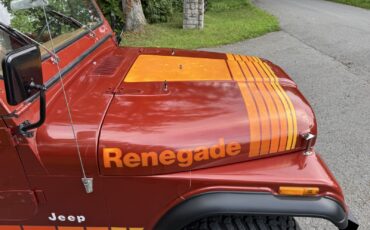 Jeep-CJ-7-1979-SUV-10