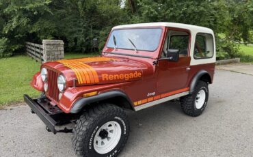 Jeep-CJ-7-1979-SUV-6