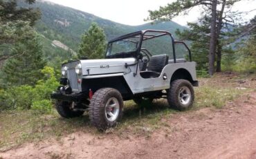 Jeep-Cj-1964-1