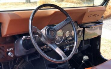 Jeep-Cj-1982-Black-Tan-17