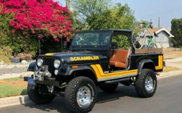 Jeep-Cj-1982-Black-Tan-29