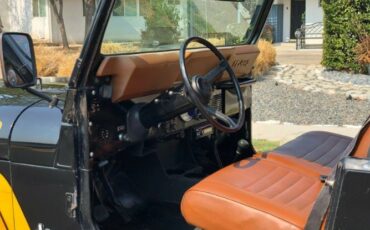 Jeep-Cj-1982-Black-Tan-4