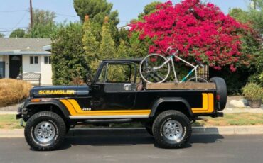 Jeep-Cj-1982-Black-Tan-5