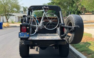 Jeep-Cj-1982-Black-Tan-8