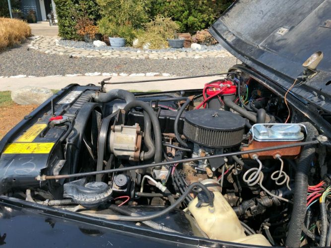 Jeep-Cj-1982-Black-Tan-9
