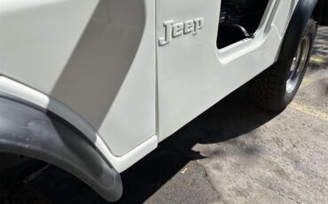 Jeep-Cj5-1973-Whit-Black-22