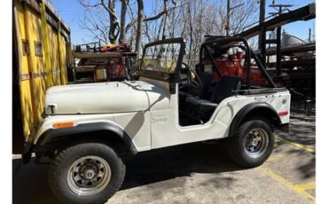 Jeep-Cj5-1973-Whit-Black-25