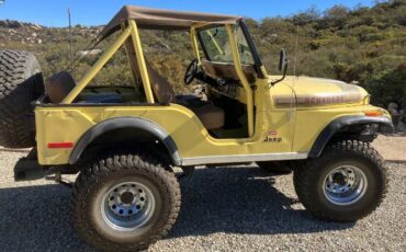 Jeep-Cj5-1976-Yellow-14