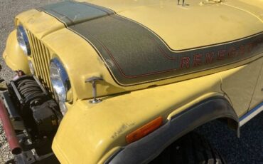 Jeep-Cj5-1976-Yellow-3