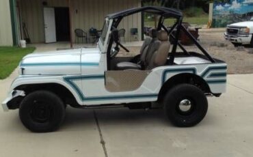 Jeep-Cj5-1977-9