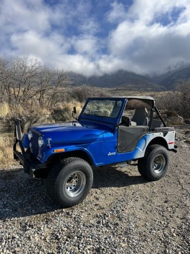 Jeep-Cj5-1977-Blue-Black-16