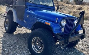 Jeep-Cj5-1977-Blue-Black-19