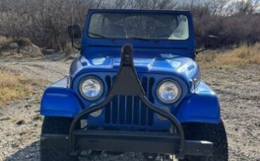 Jeep-Cj5-1977-Blue-Black-20