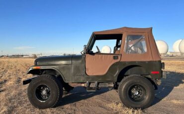 Jeep-Cj5-1977-Green-2