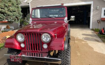 Jeep-Cj5-1979-4