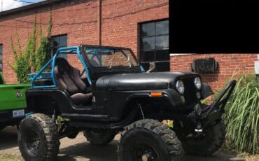 Jeep-Cj5-1979-Black-Black