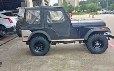Jeep-Cj5-1980-Blue-Gray