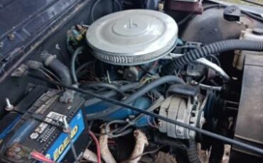 Jeep-Cj5-1980-Blue-Gray-9