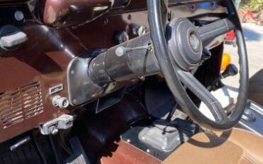 Jeep-Cj5-1980-Brown-10