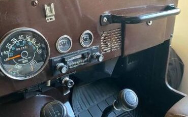 Jeep-Cj5-1980-Brown-11