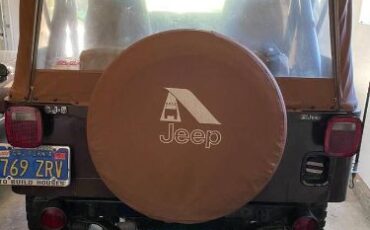 Jeep-Cj5-1980-Brown-2