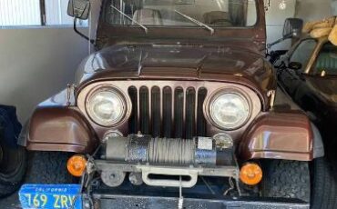 Jeep-Cj5-1980-Brown-3