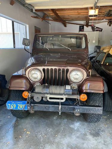 Jeep-Cj5-1980-Brown-3