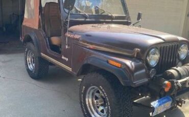 Jeep-Cj5-1980-Brown-5