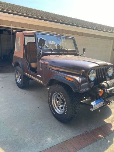 Jeep-Cj5-1980-Brown-5
