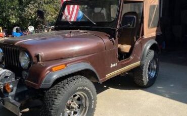 Jeep-Cj5-1980-Brown-6