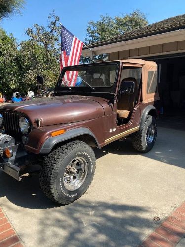 Jeep-Cj5-1980-Brown-6