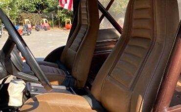 Jeep-Cj5-1980-Brown-9