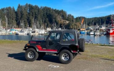Jeep-Cj5-1982-Black-Black-1