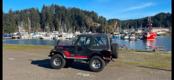 Jeep-Cj5-1982-Black-Black-1