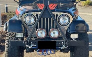Jeep-Cj5-1982-Black-Black-2