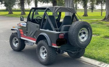 Jeep-Cj5-1982-Black-Black-3