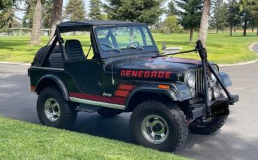 Jeep-Cj5-1982-Black-Black