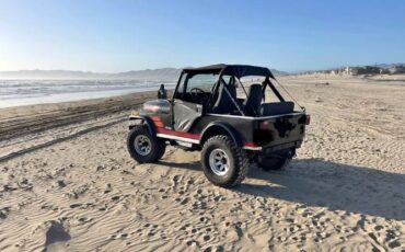 Jeep-Cj5-1982-Black-Black-4
