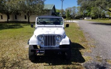 Jeep-Cj5-1983-White-14