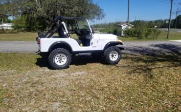 Jeep-Cj5-1983-White-15