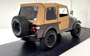 Jeep-Cj7-1980-Brown-Saddle-10