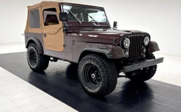 Jeep-Cj7-1980-Brown-Saddle-12