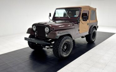 Jeep-Cj7-1980-Brown-Saddle-25