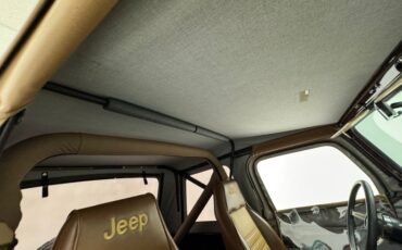 Jeep-Cj7-1980-Brown-Saddle-45