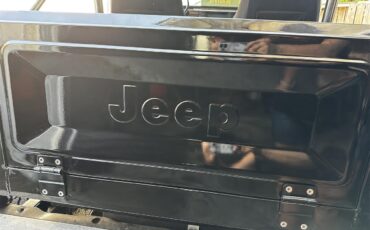 Jeep-Cj7-1981-Black-Black-16